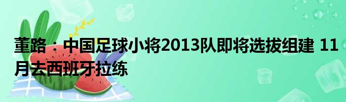 董路：中国足球小将2013队即将选拔组建 11月去西班牙拉练