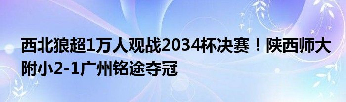 西北狼超1万人观战2034杯决赛！陕西师大附小2-1广州铭途夺冠