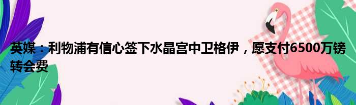 英媒：利物浦有信心签下水晶宫中卫格伊，愿支付6500万镑转会费