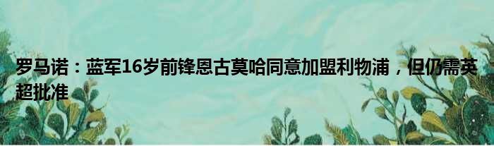 罗马诺：蓝军16岁前锋恩古莫哈同意加盟利物浦，但仍需英超批准