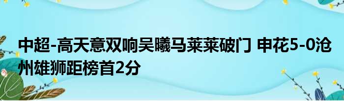 中超-高天意双响吴曦马莱莱破门 申花5-0沧州雄狮距榜首2分