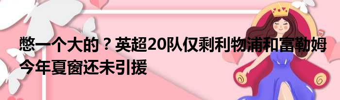 憋一个大的？英超20队仅剩利物浦和富勒姆今年夏窗还未引援