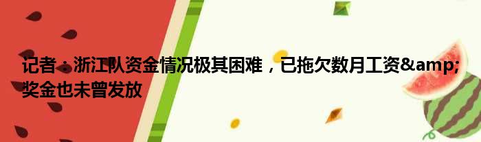 记者：浙江队资金情况极其困难，已拖欠数月工资&奖金也未曾发放