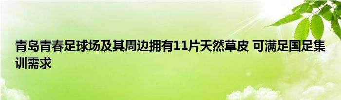 青岛青春足球场及其周边拥有11片天然草皮 可满足国足集训需求