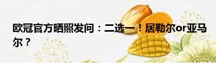 欧冠官方晒照发问：二选一！居勒尔or亚马尔？