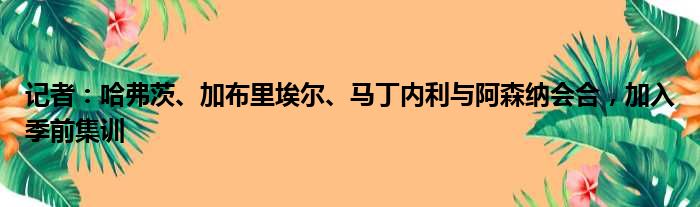 记者：哈弗茨、加布里埃尔、马丁内利与阿森纳会合，加入季前集训