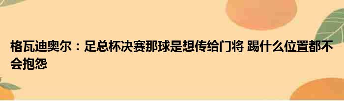 格瓦迪奥尔：足总杯决赛那球是想传给门将 踢什么位置都不会抱怨