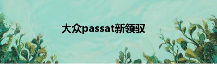 大众passat新领驭