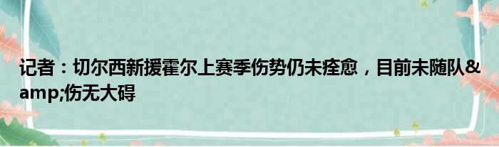 记者：切尔西新援霍尔上赛季伤势仍未痊愈，目前未随队&伤无大碍