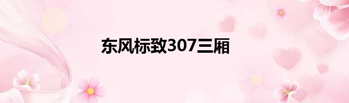 东风标致307三厢