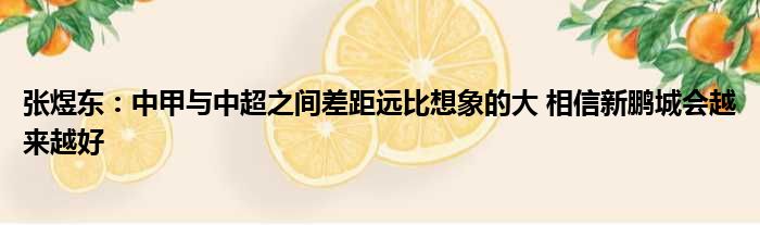 张煜东：中甲与中超之间差距远比想象的大 相信新鹏城会越来越好