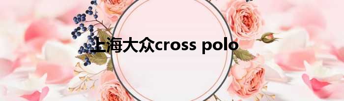 上海大众cross polo