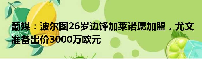 葡媒：波尔图26岁边锋加莱诺愿加盟，尤文准备出价3000万欧元