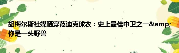 胡梅尔斯社媒晒穿范迪克球衣：史上最佳中卫之一&你是一头野兽