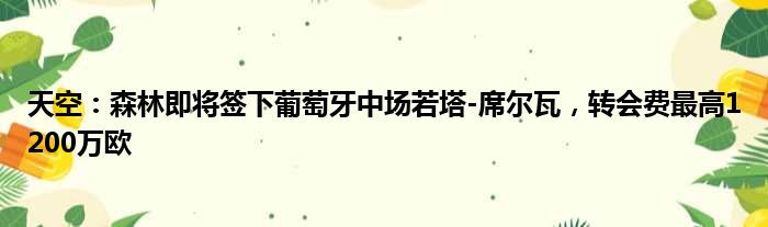 天空：森林即将签下葡萄牙中场若塔-席尔瓦，转会费最高1200万欧