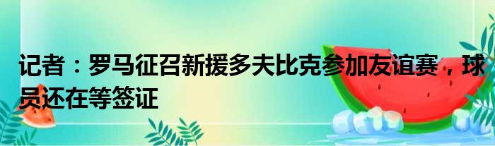 记者：罗马征召新援多夫比克参加友谊赛，球员还在等签证