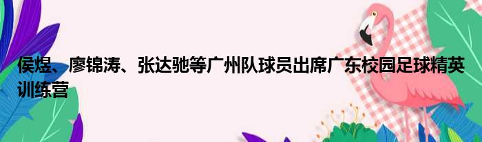 侯煜、廖锦涛、张达驰等广州队球员出席广东校园足球精英训练营