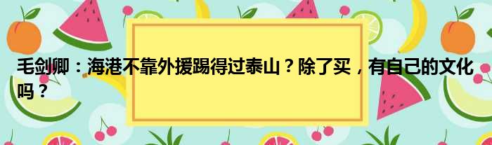 毛剑卿：海港不靠外援踢得过泰山？除了买，有自己的文化吗？