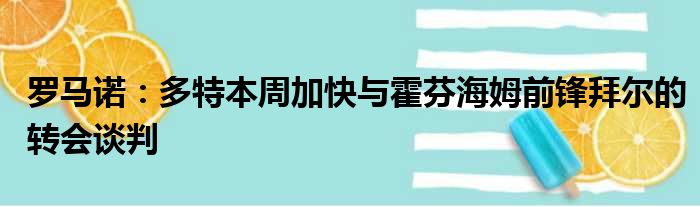 罗马诺：多特本周加快与霍芬海姆前锋拜尔的转会谈判