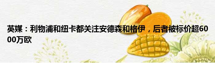 英媒：利物浦和纽卡都关注安德森和格伊，后者被标价超6000万欧