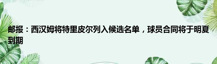 邮报：西汉姆将特里皮尔列入候选名单，球员合同将于明夏到期