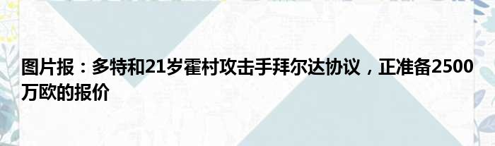 图片报：多特和21岁霍村攻击手拜尔达协议，正准备2500万欧的报价