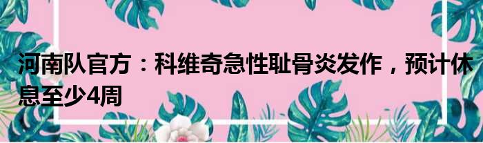 河南队官方：科维奇急性耻骨炎发作，预计休息至少4周