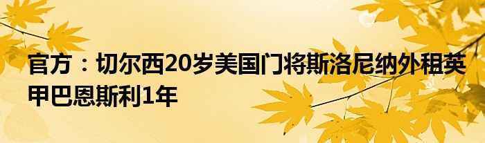 官方：切尔西20岁美国门将斯洛尼纳外租英甲巴恩斯利1年