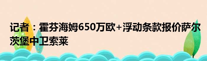 记者：霍芬海姆650万欧+浮动条款报价萨尔茨堡中卫索莱