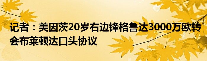 记者：美因茨20岁右边锋格鲁达3000万欧转会布莱顿达口头协议