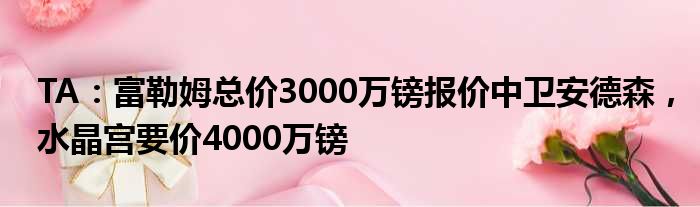 TA：富勒姆总价3000万镑报价中卫安德森，水晶宫要价4000万镑