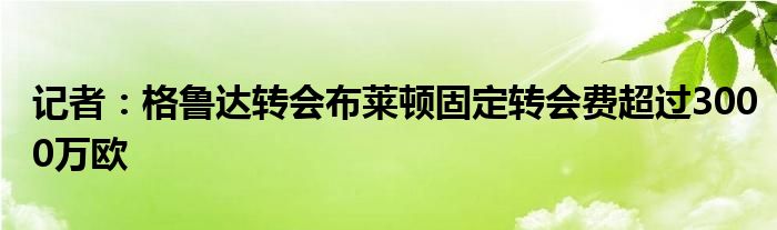 记者：格鲁达转会布莱顿固定转会费超过3000万欧