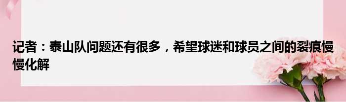 记者：泰山队问题还有很多，希望球迷和球员之间的裂痕慢慢化解