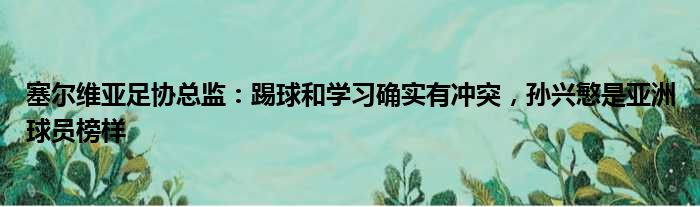 塞尔维亚足协总监：踢球和学习确实有冲突，孙兴慜是亚洲球员榜样