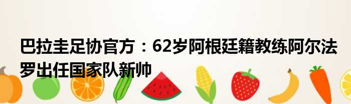 巴拉圭足协官方：62岁阿根廷籍教练阿尔法罗出任国家队新帅