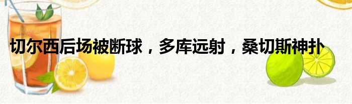 切尔西后场被断球，多库远射，桑切斯神扑