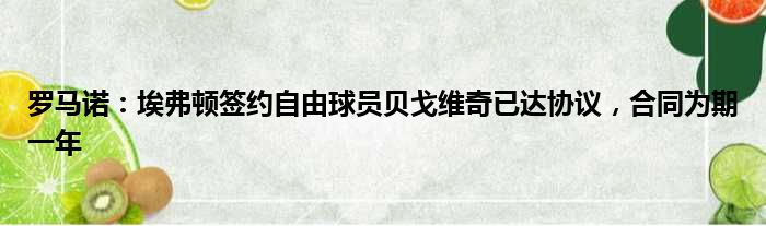 罗马诺：埃弗顿签约自由球员贝戈维奇已达协议，合同为期一年