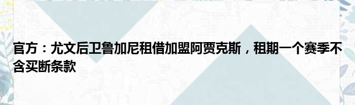 官方：尤文后卫鲁加尼租借加盟阿贾克斯，租期一个赛季不含买断条款