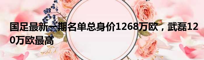 国足最新一期名单总身价1268万欧，武磊120万欧最高