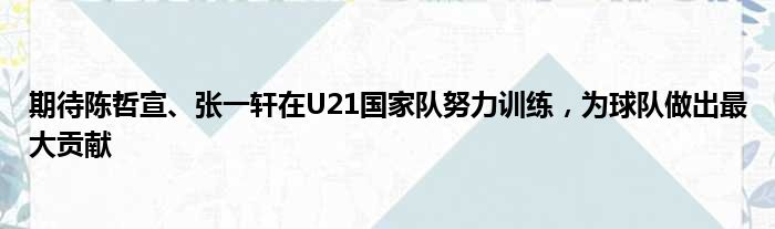 期待陈哲宣、张一轩在U21国家队努力训练，为球队做出最大贡献