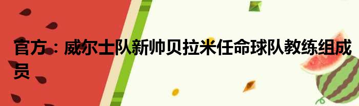 官方：威尔士队新帅贝拉米任命球队教练组成员