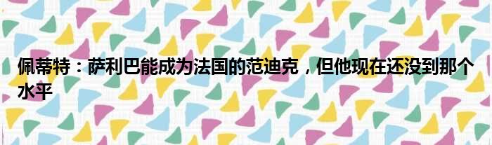 佩蒂特：萨利巴能成为法国的范迪克，但他现在还没到那个水平