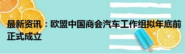 最新资讯：欧盟中国商会汽车工作组拟年底前正式成立