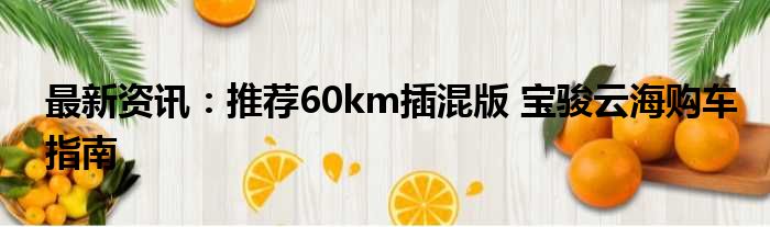 最新资讯：推荐60km插混版 宝骏云海购车指南