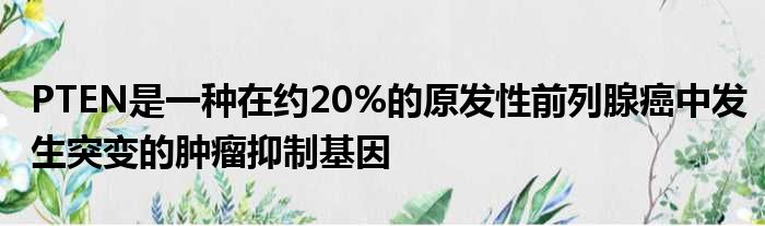 PTEN是一种在约20%的原发性前列腺癌中发生突变的肿瘤抑制基因