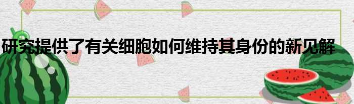 研究提供了有关细胞如何维持其身份的新见解