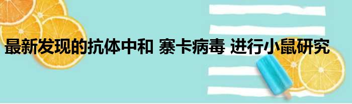 最新发现的抗体中和 寨卡病毒 进行小鼠研究