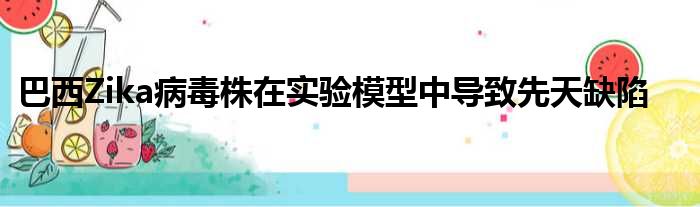 巴西Zika病毒株在实验模型中导致先天缺陷