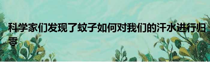 科学家们发现了蚊子如何对我们的汗水进行归零