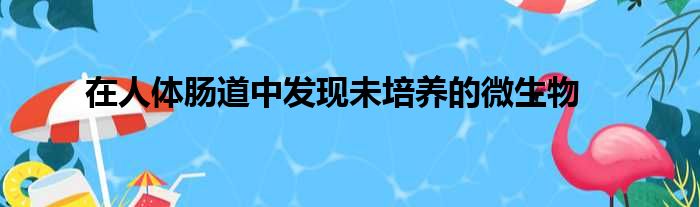 在人体肠道中发现未培养的微生物